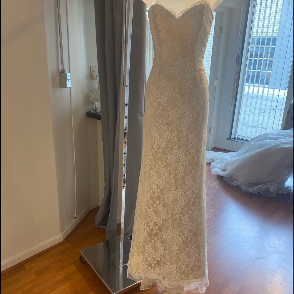 Fan pattern gown with lace all over.